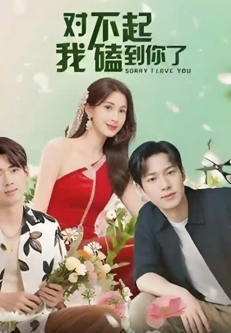 对不起我磕到你了